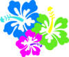 Hibiscus Clip Art
