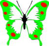 Butterfly Clip Art