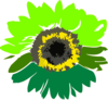 Green Sunflower Clip Art