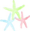 Starfish Clip Art