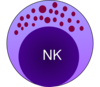 Nk Cell Clip Art