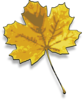 Autumn Leaf Clip Art