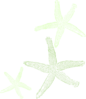 Starfish Prints Clip Art