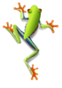 Treefrog Clip Art