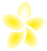 Plumeria Clip Art