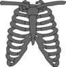 Skeleton Tattoo Edit Clip Art