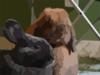 Dsc Clip Art