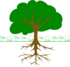 Tree Dante Clip Art