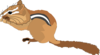 Chipmunk Clip Art