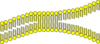 Cell Membrane Clip Art