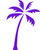 Palm Tree Clip Art