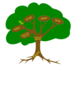 Tree  Clip Art