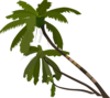 Vector Palm Trees Clip Art