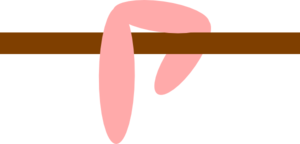 Opossum Tail Clip Art