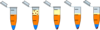 Two Phase Eppendorf Clip Art