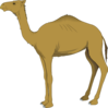 Camel Clip Art