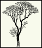 Bare Tree On Yellow Clip Art