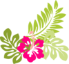 Hibiscus Clip Art