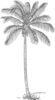 Gray Palm Tree Clip Art