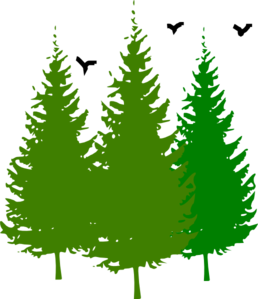 3 Pinetrees With Birds  Clip Art