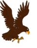 Eagle 15 Clip Art