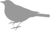 Small Grey Bird Clip Art