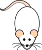 Rat Model Clip Art