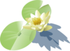 Waterlily Pad Clip Art