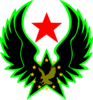 Eagle Star Hero Clip Art