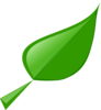 Leaf Clip Art