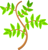 Leaves Clip Art