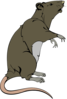 Grey Greedy Rat  Clip Art