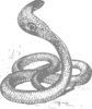 Cobra Snake Grey Clip Art