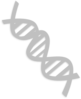 Dna Clip Art