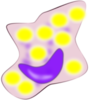 Foam Cell Clip Art