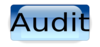 Button Blue Audit Clip Art