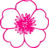 Pink Daisy Clip Art