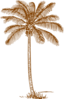 Palm Tree Clip Art