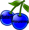 Blueberrywithtext Clip Art