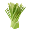 Asparagus Full Clip Art