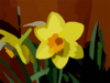 Daffodil Pix Clip Art