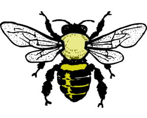 Little Bee Clip Art
