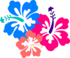 Hibiscus Clip Art