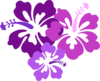 Hibiscus Clip Art