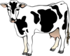 Cow 11 Clip Art