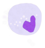 Monocyte Clip Art