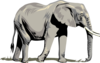 Elephant Side 2 Clip Art