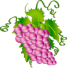 Grape Clip Art