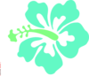 Lime Hibiscus Clip Art