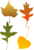 Autumn Leaf Selection Clip Art